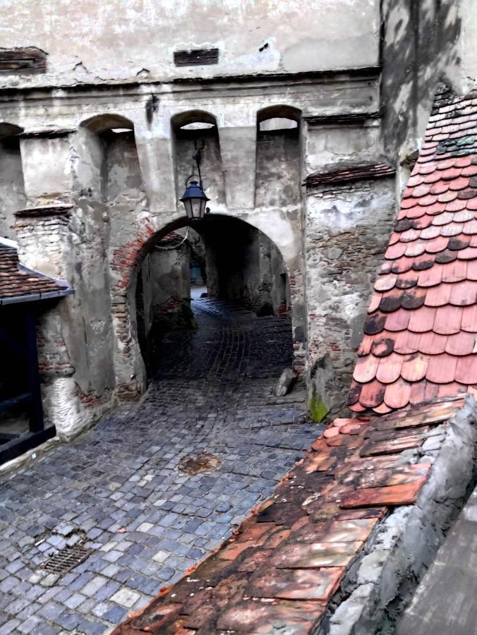 Horea 11 Сігішоара Екстер'єр фото