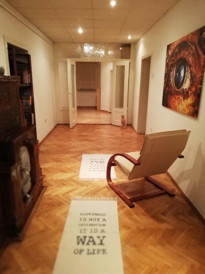 Horea 11 Сігішоара Екстер'єр фото